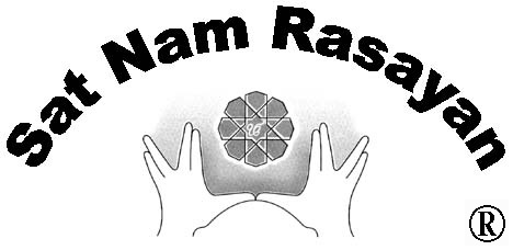 snr_logo.jpg (5,629 bytes)